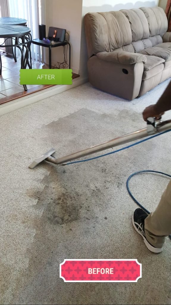 Photo Gallery Highest Rated Carpet Cleaning Rugs and Water Damage